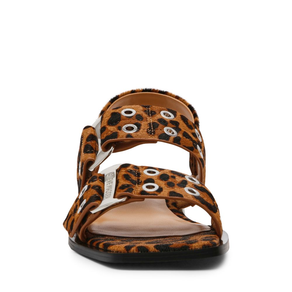 Γυναικεία σανδάλια STEVE MADDEN Saria-Le SM19000134 03001-969 Leopard 5 Γυναικεία σανδάλια STEVE MADDEN Saria-Le SM19000134 03001-969 Leopard - Image 5